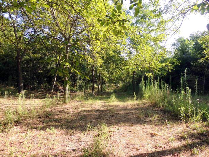 Image No.3-Land for sale