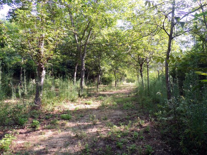 Image No.4-Land for sale