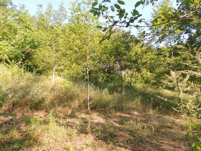 Image No.6-Land for sale