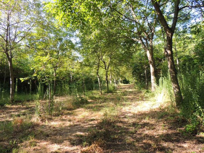 Image No.9-Land for sale