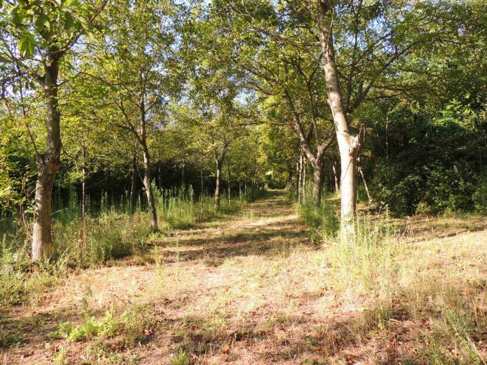 Image No.8-Land for sale