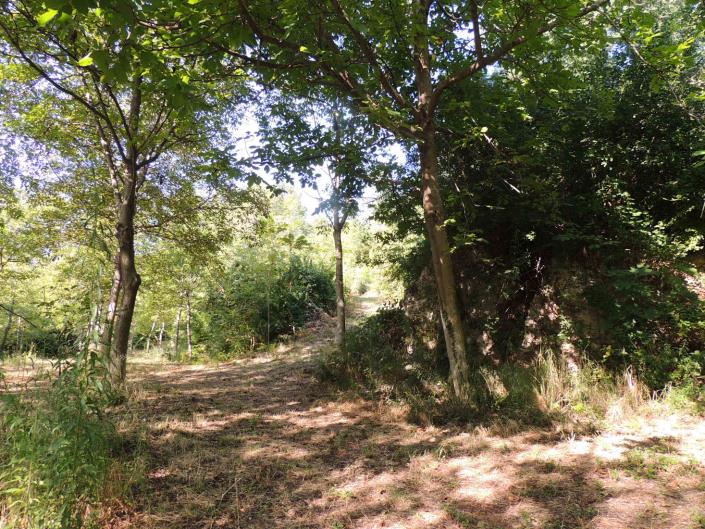 Image No.10-Land for sale