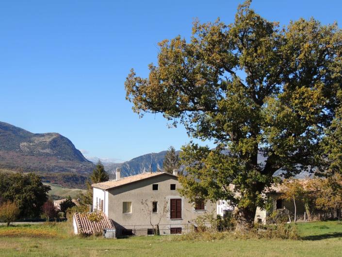 Image No.1-3 Bed Country House for sale