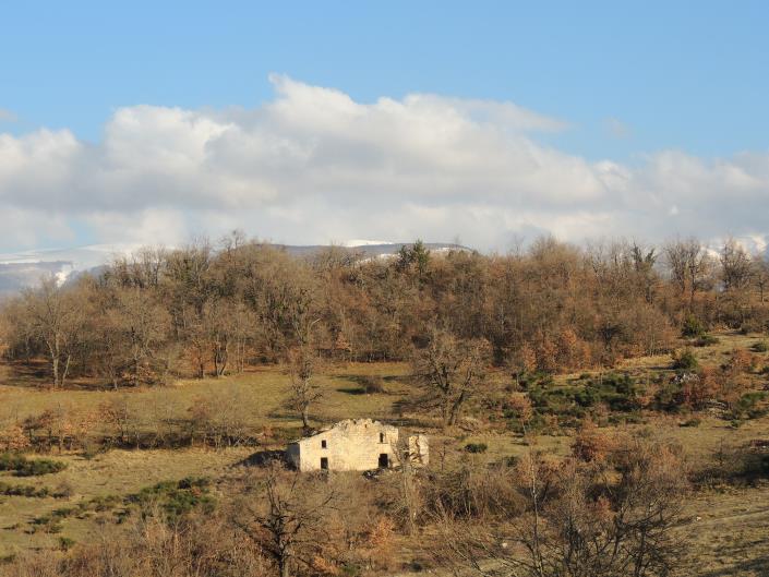 Image No.5-3 Bed Cottage for sale