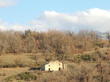 DSCN4137