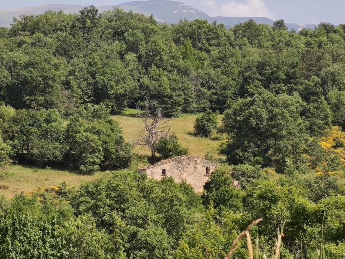 Image No.3-3 Bed Cottage for sale