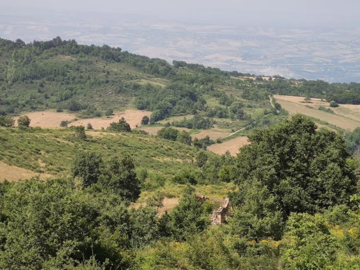 Image No.4-3 Bed Cottage for sale