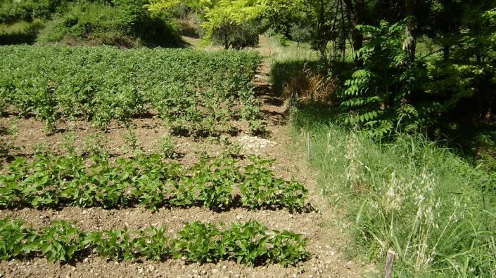 Image No.15-4 Bed Villa for sale