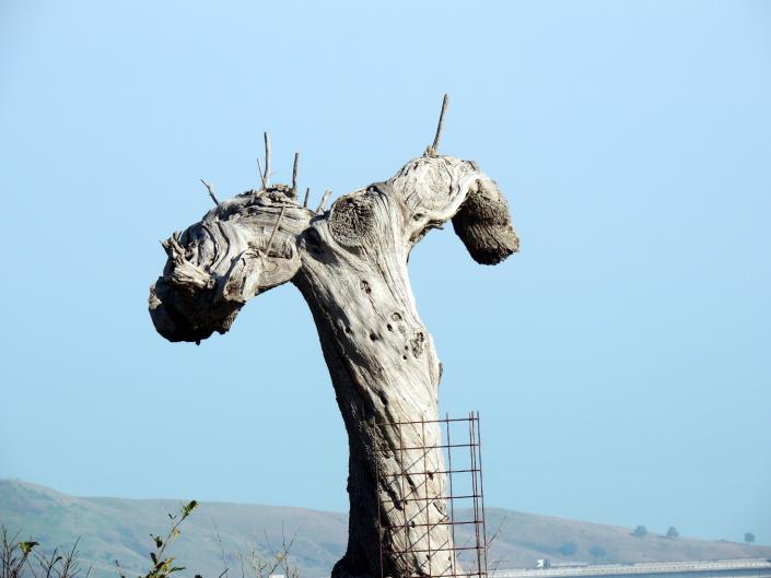 Image No.22-2 Bed Villa for sale