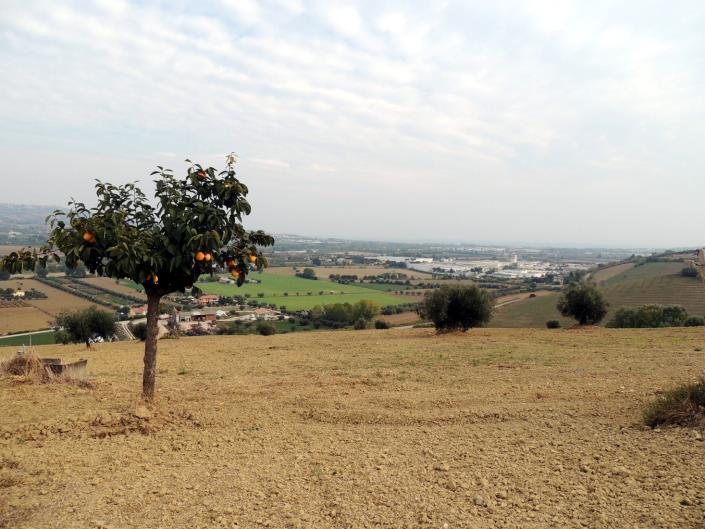 Image No.5-Land for sale