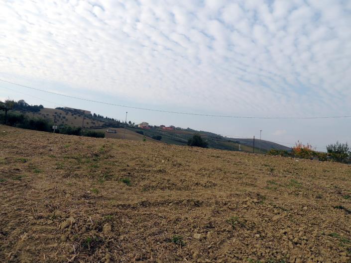 Image No.3-Land for sale