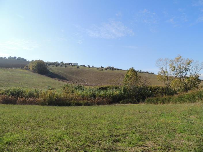 Image No.1-Terre à vendre à Atri