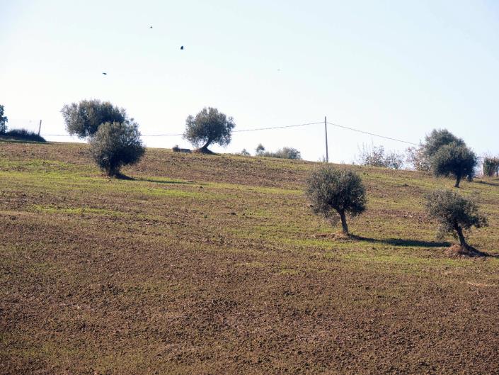 Image No.16-Land for sale