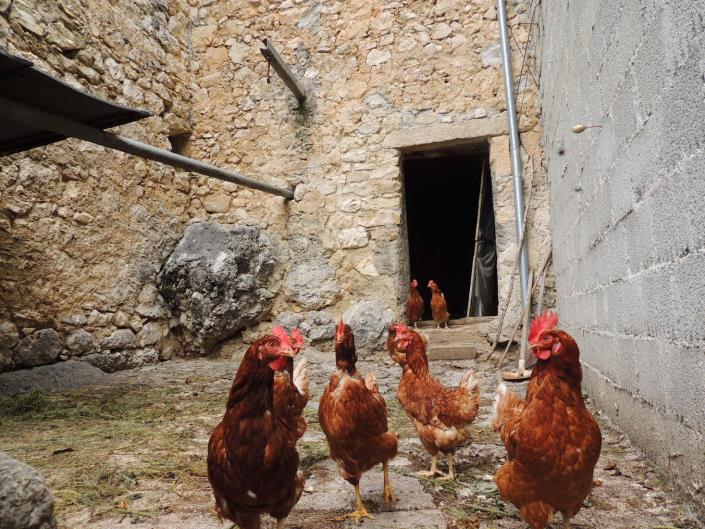 Image No.2-2 Bed Cottage for sale