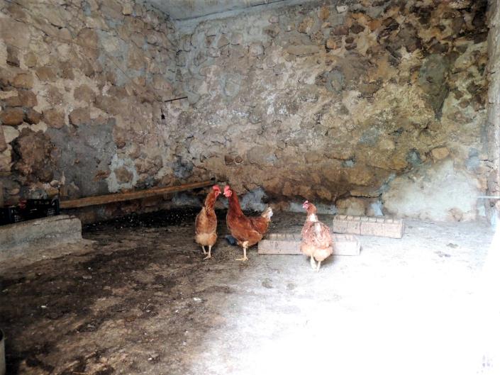 Image No.12-2 Bed Cottage for sale