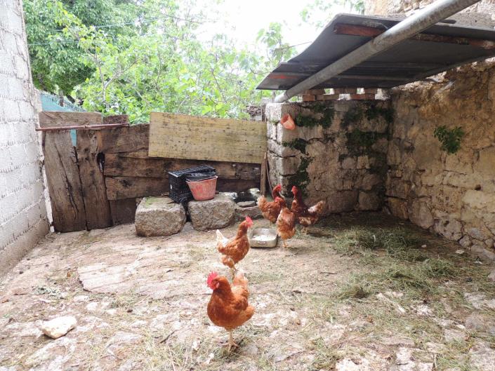 Image No.3-2 Bed Cottage for sale