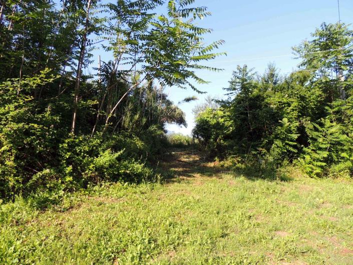 Image No.5-Land for sale