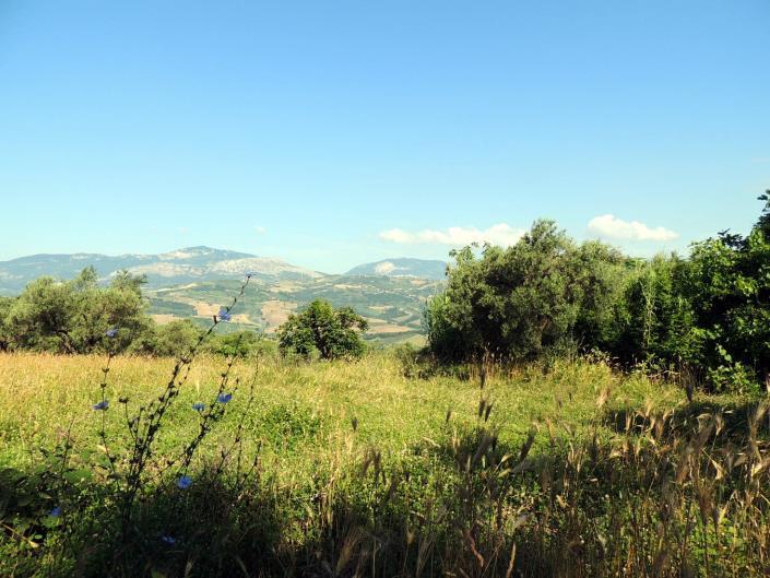 Image No.2-Land for sale