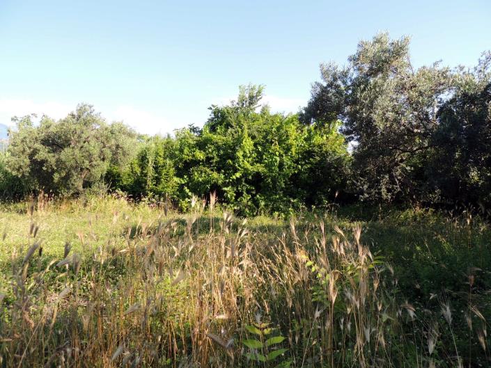 Image No.6-Land for sale