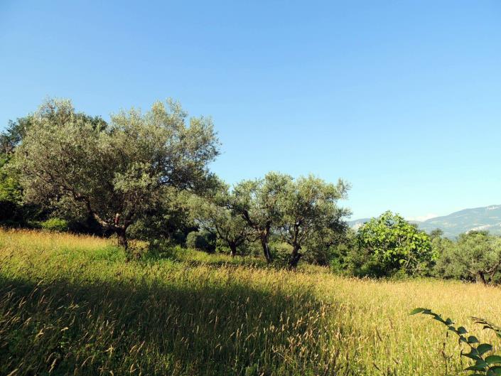 Image No.8-Land for sale