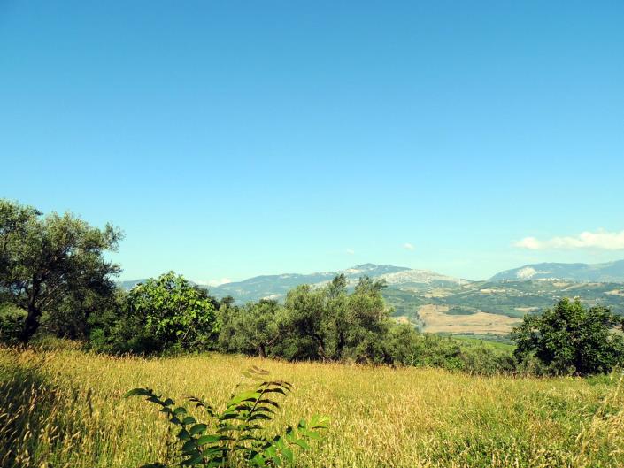 Image No.9-Land for sale