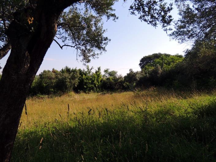 Image No.12-Land for sale