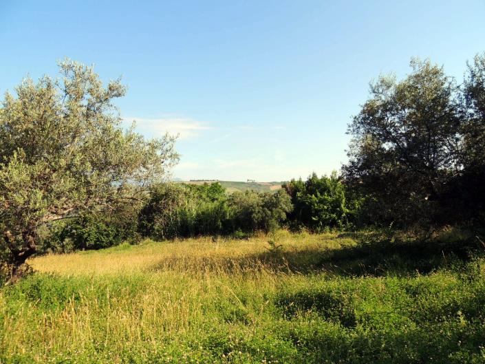 Image No.13-Land for sale