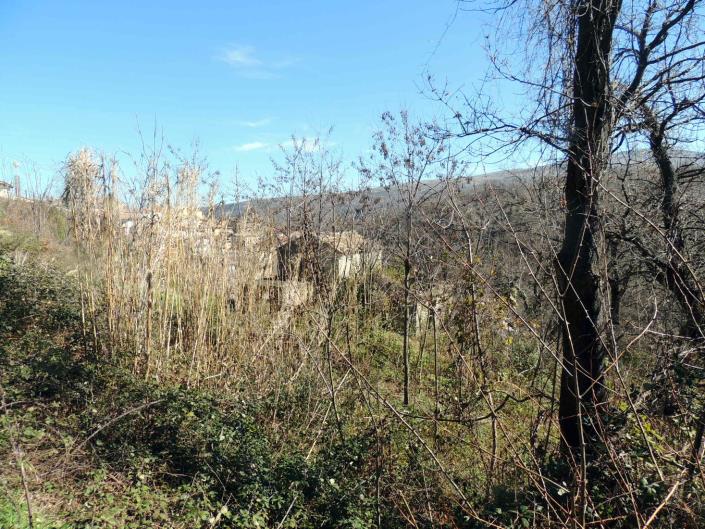 Image No.5-2 Bed Cottage for sale