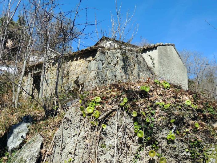 Image No.7-2 Bed Cottage for sale