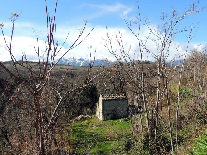 Image No.18-2 Bed Cottage for sale