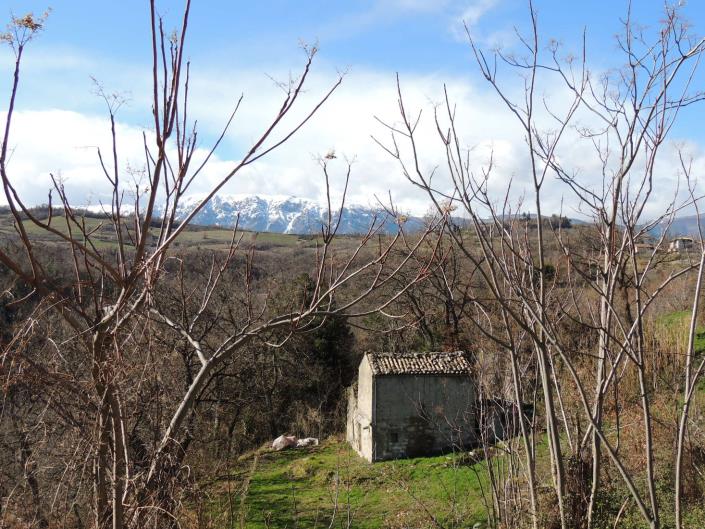 Image No.2-2 Bed Cottage for sale