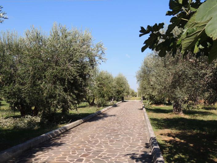 Image No.6-3 Bed Villa for sale