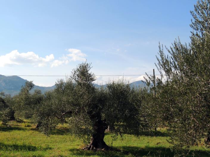 Image No.20-3 Bed Villa for sale