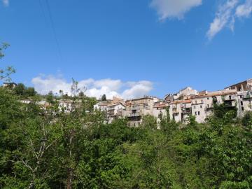 DSCN8716