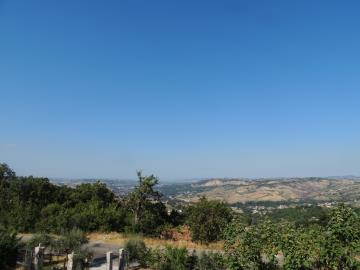 DSCN8738
