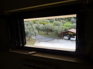 DSCN7516