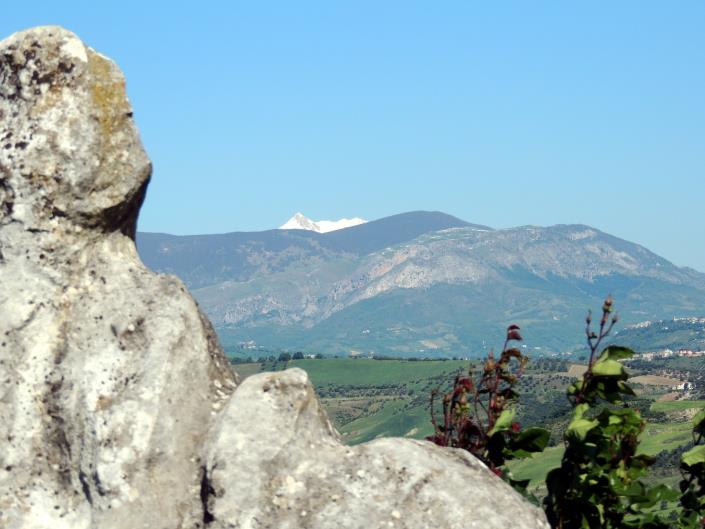 Image No.7-5 Bed Villa for sale