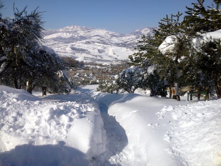 Image No.15-5 Bed Villa for sale