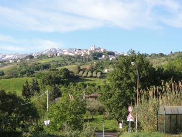 DSCN5534