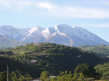 DSCN5533