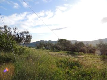 DSCN5548
