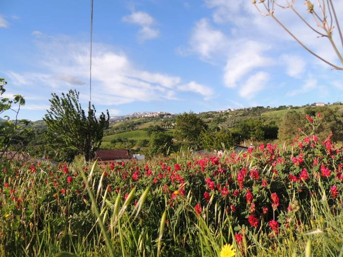Image No.1-Plot for sale