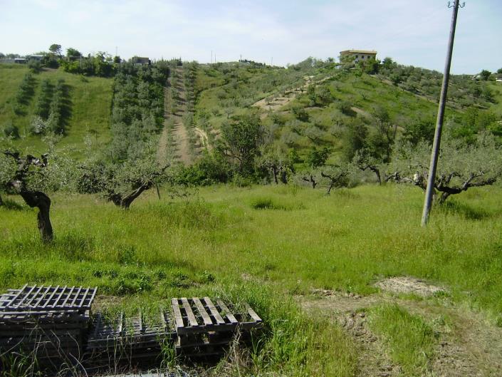 Image No.2-Terrain à vendre à Spoltore