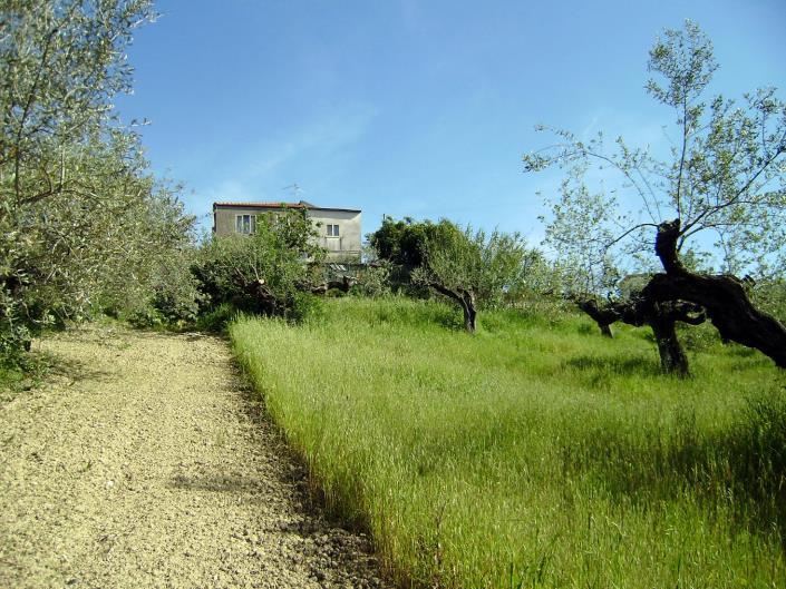 Image No.5-Terrain à vendre à Spoltore