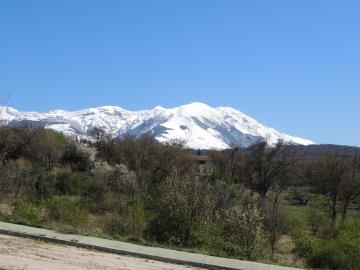 DSCN0105