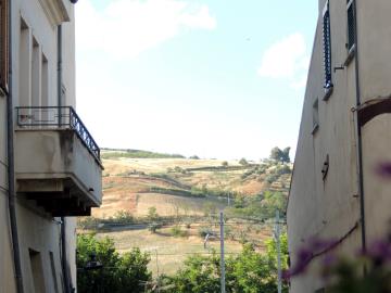 DSCN4343