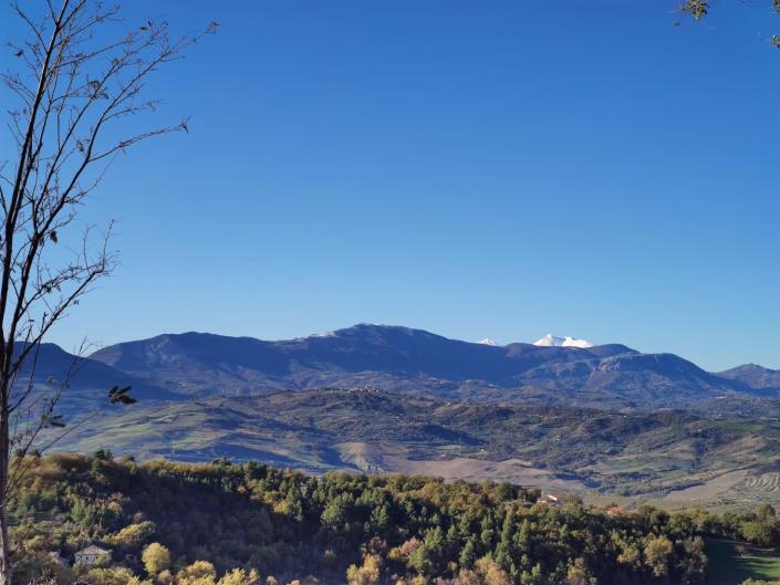 Image No.44-House for sale