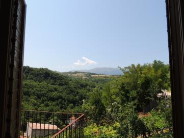 DSCN4781