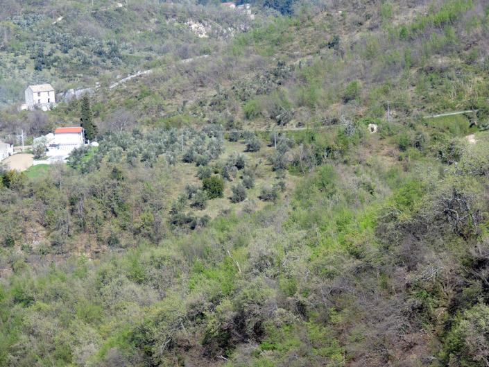 Image No.5-Land for sale