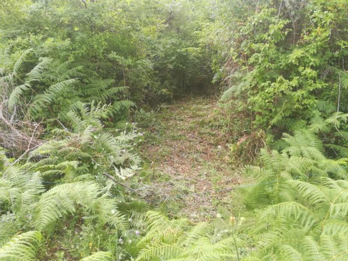 Image No.8-Land for sale